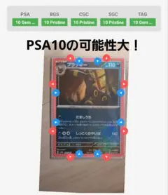 ポケモンカード ブラッキー マスターボールミラー極美品 PSA10判定済み
