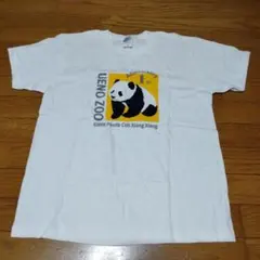 Item thumbnail for item bae87719-a9fe-42e1-b82c-ccfcaadd4bfd