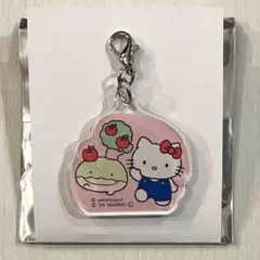 なんでもいきもの　サンリオ　こじま　ハローキティ　ポイントアクリルチャーム