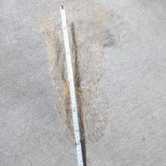 Item thumbnail for item 89b4d32a-59c4-4902-8ca0-c3d85c65df05