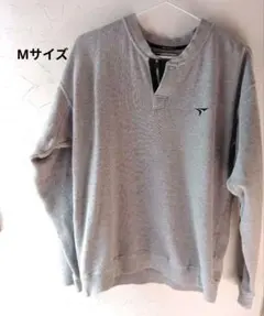 Item thumbnail for item 47f6532b-efe6-4df6-9508-41b6b0a5471e