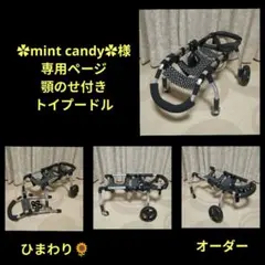 ハチ子様専用 トイプー4輪 リハビリ 食事補助 犬用車椅子 介護 犬の