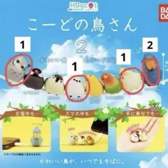 ※要確認 こーどの鳥さん 5点