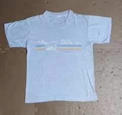 希少 USA製 80sヴィンテージ Tシャツ スーベニア 霜降り グレー