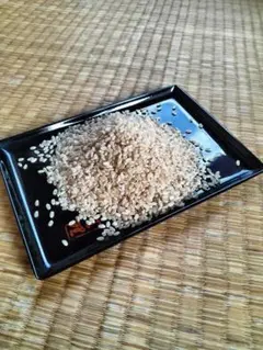 無農薬R6年度米　京都府綾部市　コウノトリの巣の横 コシヒカリ　10kg 無農薬R6年度米 京都府綾部市 コウノトリの巣の横 コシヒカリ 10kg