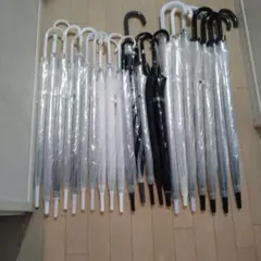 Item thumbnail for item ba90145e-2902-43cc-9f01-f82b49246b22