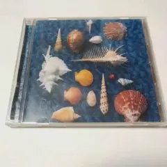 海の音楽 CD　スピッツ
