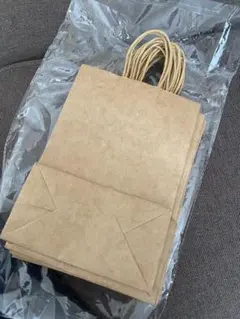 クラフト紙袋 5枚入り 21cm x 15cm