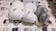 Item thumbnail for item f804c260-dbfb-490b-8dcb-c60867da6399