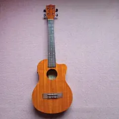 Item thumbnail for item ab6833a9-a0fd-4582-b641-0f730070c48b