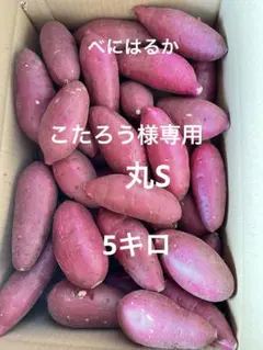 こたろう様専用　丸S 5キロ