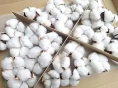 Item thumbnail for item e18a68e7-e12f-4649-883b-c1dc7f6bd5a0