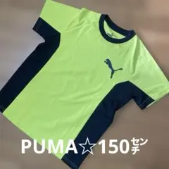 PUMA サッカーシャツ イエロー/ネイビー 150