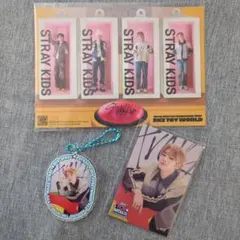 StrayKids アイエン I.N 　SKZ TOY WORLD