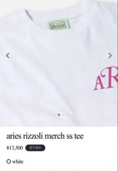 未開封/完売/レアAries x Rizzoli コラボ/リミテッドエディショのサムネイル