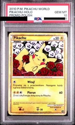 2025年最新】ポーランド ピカチュウの人気アイテム - メルカリ