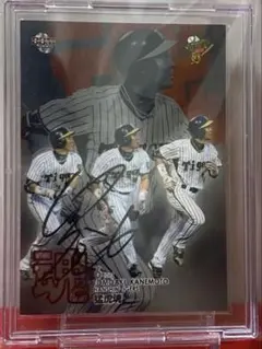 元﻿阪神タイガース　金本知憲選手、新井貴浩選手　直筆サイン色紙です。 元﻿阪神タイガース 金本知憲選手、新井貴浩選手 直筆サイン色紙