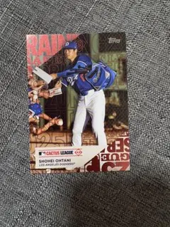 プロ野球カード　大谷翔平　5枚セット 直送】 PSA鑑定済み 大谷翔平トレーディングカード8枚組 木製額付き