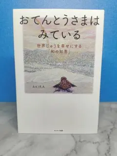 おてんとうさまはみている 杉山明