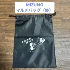 MIZUNO ミズノ　マルチバッグ（袋）セキタ先輩　未使用★