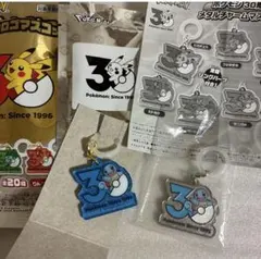 ポケモン30周年記念　ゼニガメ　ポケチャーム ロゴマスコット メタルチャーム