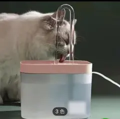 Item thumbnail for item 9beb6dee-5e9b-4bc3-9ed0-f2f8d3b6e719