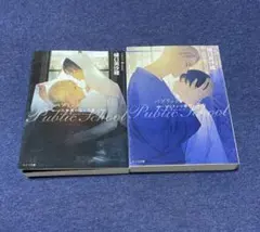 パブリックスクール-八年後の王と小鳥- -ロンドンの蜜月- 樋口美沙緒