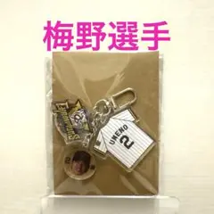 梅野選手 優勝記念 シークレットアクリルキーホルダー 阪神タイガース①