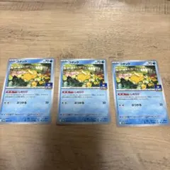 d*4様 コダック：ジムプロモ PROMO SV-Pプロモカード 262/SV-