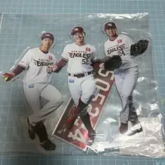 Item thumbnail for item 89cacc94-af36-4c7b-96de-f8f9364769fc