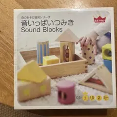 Ed.Inter Sound Blocks 音いっぱいつみき
