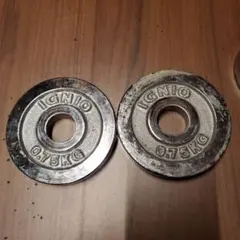 IGNIO 0.75kg プレート2枚 28mm用　②