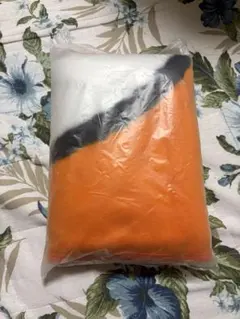 スヌーピー ミスド　福袋　ブランケット