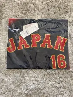 Item thumbnail for item 28c60ad8-621c-4830-9948-d229f3899d19