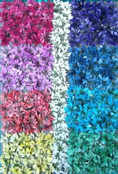 Item thumbnail for item 601d0c7e-a5c2-4f9c-9c9e-ffa9eae31bbc