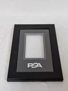 【PSA】鑑定ケース