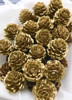 2025年最新】松ぼっくり カラマツの人気アイテム - メルカリ