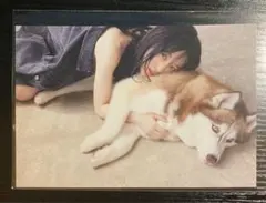 山下美月 写真集 特典ポストカード