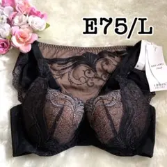 E75/L◆天使のブラ0106 レッドレーベル バイトリンプ◆ブラ＆ショーツ