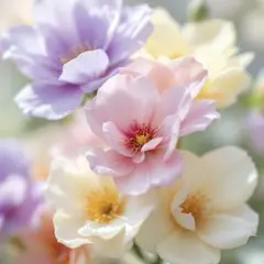 kaco18様 リクエスト 3点 まとめ商品