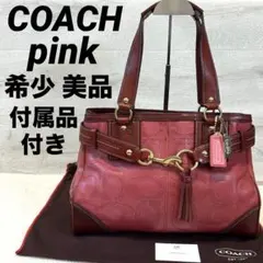 2026年最新】coach 10245の人気アイテム - メルカリ