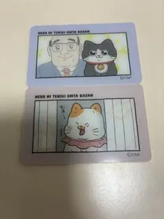 ねこに転生したおじさん　カードミラー