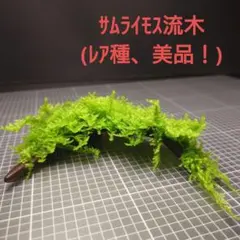 ロッテンマイヤー様 リクエスト 2点 まとめ商品