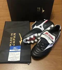 Item thumbnail for item 1d583c04-a7c6-4cd2-9a31-42dce862053c