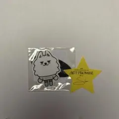 TXT カプセルトイ　ヨンモン　ステッカー　 スビン星付き