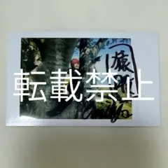 フライデー最新号エリマリ姉妹サイン入チェキ応募券5枚【Erika &百瀬