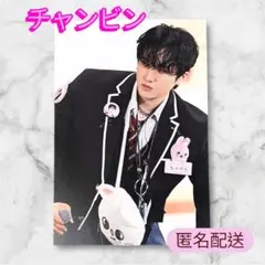 StrayKids TOY WORLD DVD グリーティングカード チャンビン