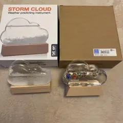 STORM CLOUD 날씨 예측기 유리 플로트 온도계 세트 최종 할인 ‼️