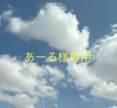 あーる様専用 カラフルピーチ　じゃぱぱ　トレカ18枚&ブロマ３枚　セット売り