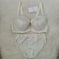 トリンプ　レッドレーベル　0121　 E80 定価12100円　011